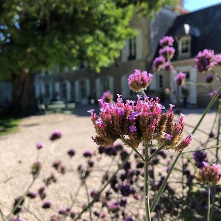 Domaine Saint-Hilaire Hotel Meung-sur-Loire Kültér fotó