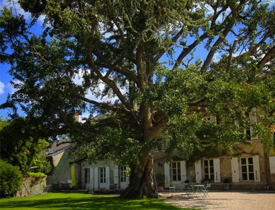 Domaine Saint-Hilaire Hotel Meung-sur-Loire Kültér fotó