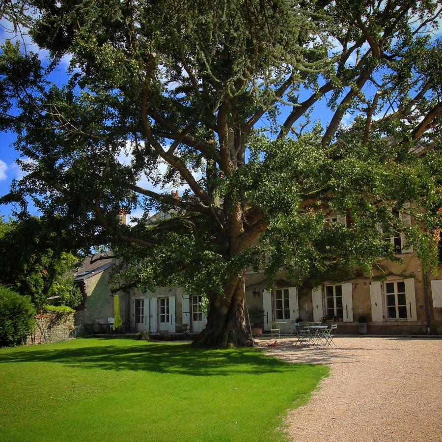 Domaine Saint-Hilaire Hotel Meung-sur-Loire Kültér fotó