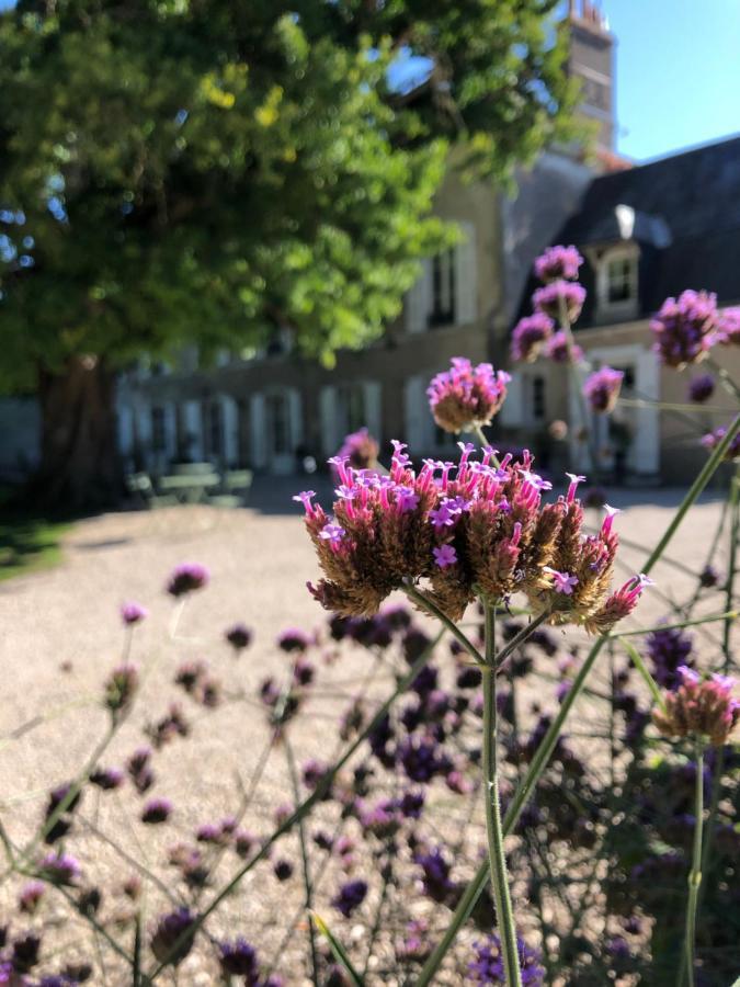 Domaine Saint-Hilaire Hotel Meung-sur-Loire Kültér fotó